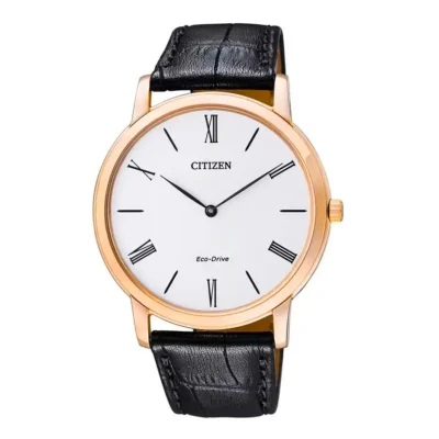 Đồng Hồ Citizen Eco-drive AR1113-12B - Chính Hãng Giá Tốt - Passion Watch