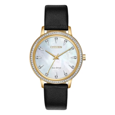 Citizen Eco-drive FE7042-07D - Chính Hãng Giá Tốt - Passion Watch