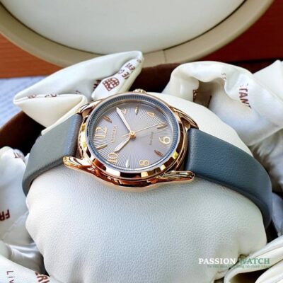 Citizen Eco Drive FE1218 05H 6 Citizen Eco-Drive FE1218-05H- Chính Hãng Giá Tốt - Passion Watch