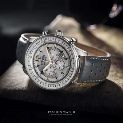 citizen eco drive ca4500 24h 10 | Passion Watch