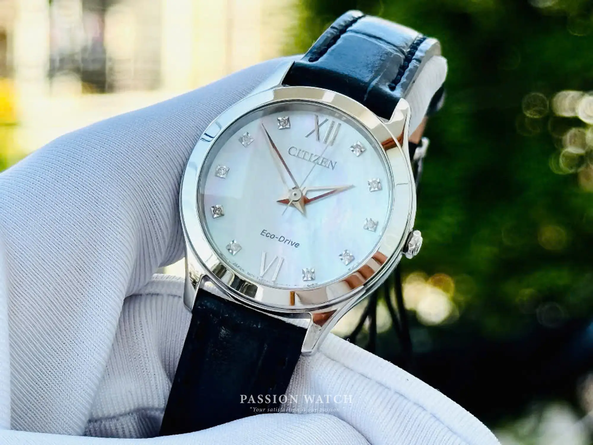 citizen-eco-drive-em1011-07d-4 citizen eco drive em1011 07d 4 | Passion Watch