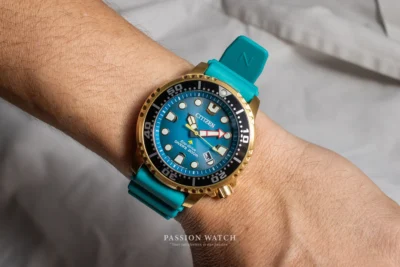 citizen eco drive promaster bn0162 02x 11 | Passion Watch