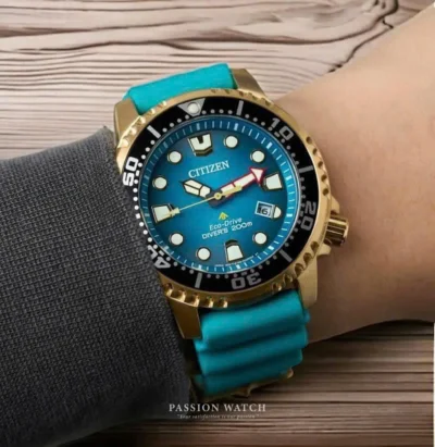 citizen eco drive promaster bn0162 02x 15 | Passion Watch