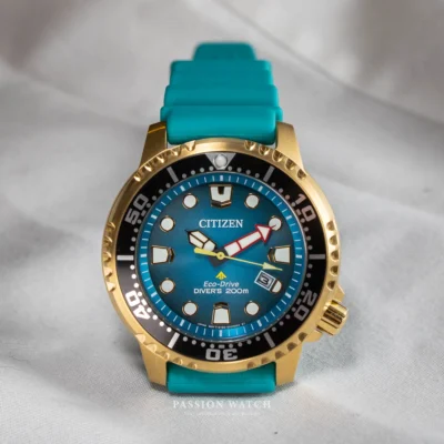 citizen eco drive promaster bn0162 02x 3 | Passion Watch
